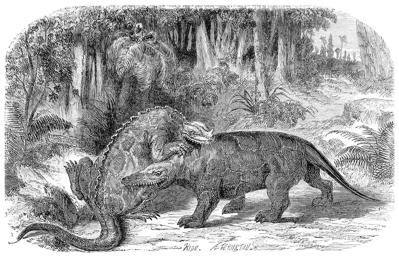 vintage iguanodon