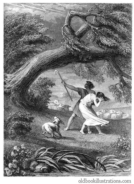 The Oak and the Reed – Old Book Illustrations