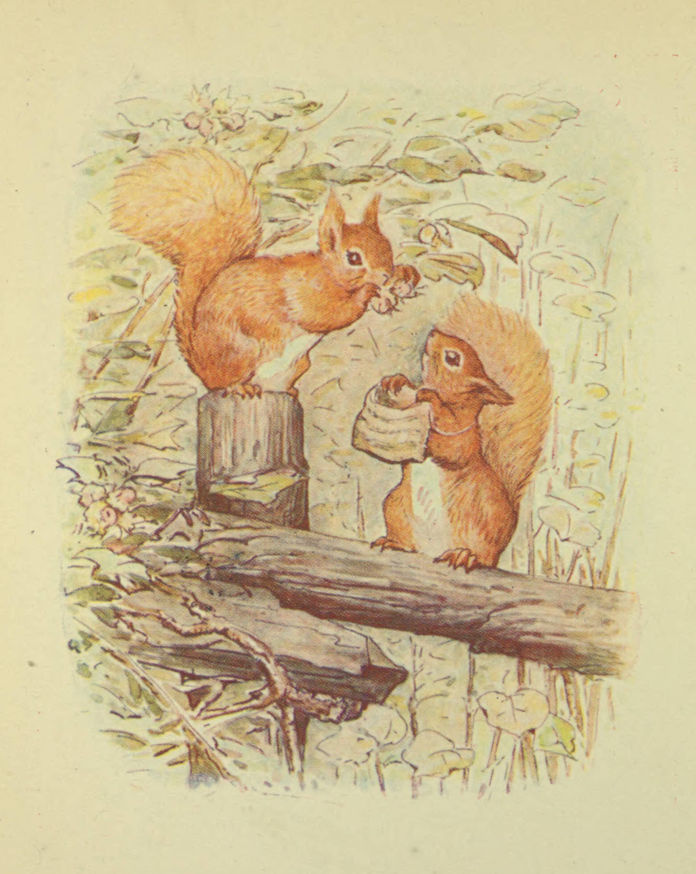 the tale of squirrel nutkin first edition