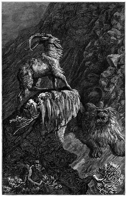 The Goat and the Lion – Old Book Illustrations